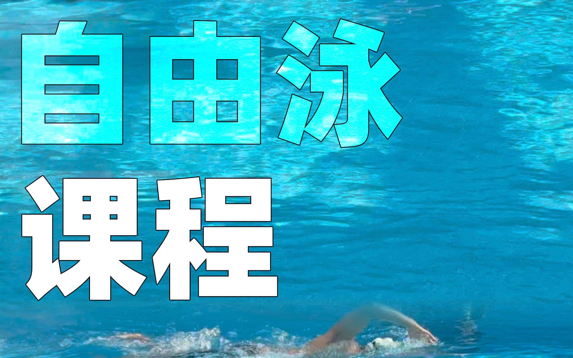 自由潜水训练视频解析:含1年游泳指导-自由泳课程【重量版】
