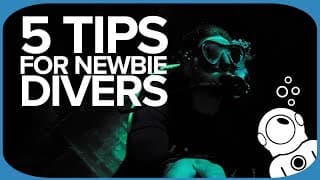 水肺潜水技巧视频解析：5 Tips For Newbie Divers