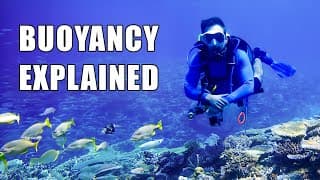 水肺潜水技巧视频解析：Buoyancy Control: The Skill That Changes Everything