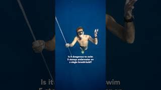 自由潜水训练视频解析：What if you could learn all this in just one day 😱 #freediving #PADI #training #learning #freedive