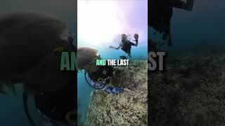 水肺潜水技巧视频解析：Struggling with Buoyancy? 3 Quick Tips to Improve Your Scuba Diving Skills! Dive Instructor Pro Tips