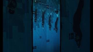 自由潜水训练视频解析：4 Freediving Depth Disciplines (in competitions) #underwater #freediving #educationalvideo