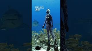 自由潜水技巧视频解析：70ft on one breath 😮 @OCEANRAMSEYSHARKS #diving #onebreath #sharks #maldives #wifey #a