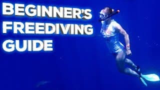 自由潜水装备视频解析：Freediving Gear Guide