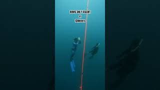 自由潜水训练视频解析：Taking my AIDA 3 Certification #freediving #diving #underwater #shorts