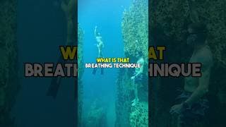自由潜水技巧视频解析：Freedivers use a special breathing technique before they go down, so they can hold the breath longer