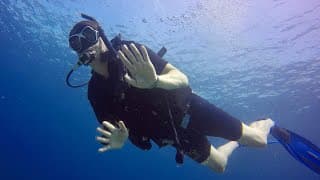 水肺潜水技巧视频解析：Learn how to scuba dive | The 5 essential diving skills