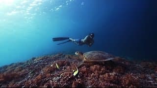 自由潜水训练视频解析：PADI Freediver Course