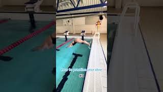 水肺潜水技巧视频解析：how to dive 101✨🩵