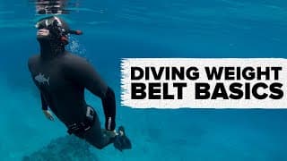 自由潜水装备视频解析：Diving Weight Belt Basics | ADRENO