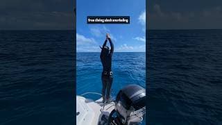 自由潜水装备视频解析：Best fins for snorkeling