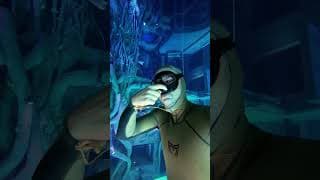 自由潜水技巧视频解析：How to avoid ear pain when diving deep 🙉 #earpain #equalize #equalization #freediving #underwater