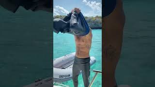 自由潜水装备视频解析：#shorts what do you think of my new open cell freediving wetsuit ?