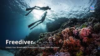 自由潜水训练视频解析：PADI Learn to Freedive