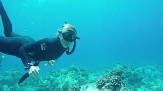 自由潜水训练视频解析：Alison Teal - PADI Freediver course Hawaii