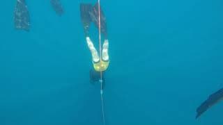 自由潜水训练视频解析：Freedive - Line Training