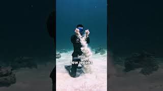 自由潜水技巧视频解析：Hold your Breath for 5 Minutes! Learn from a Freediving World Champion