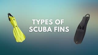 自由潜水装备视频解析：Types of scuba fins