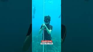 自由潜水训练视频解析：AIDA 3 Freediving Coure Dominican Republic | Freedivingdr.com
