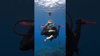 水肺潜水技巧视频解析：Your Buoyancy V Your Instructor