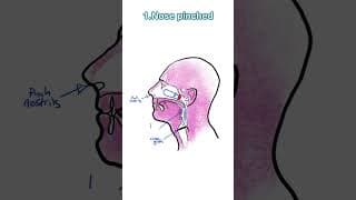 自由潜水训练视频解析：Why freedivers Frenzel equalise | Beginners freedive training