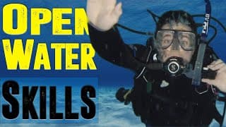 自由潜水训练视频解析：PADI Open Water Diver Course Skills in 10 Minutes