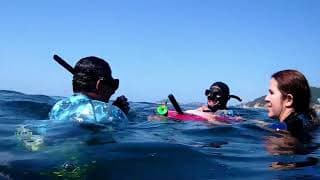 自由潜水训练视频解析：FREEDIVING PADI