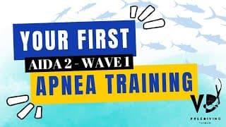 自由潜水训练视频解析：Your FIRST Breath-Hold Training Table (AIDA 2 - Molchanovs Wave 1)!
