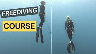 自由潜水训练视频解析：Become a Freediving Maestro: Master Freediver Course in Koh Tao, Thailand