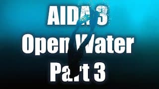 自由潜水训练视频解析：AIDA 3 Part 3 Freediving Course | Open Water Component (Feat. Andrew and Raj) Tobermory Canada