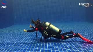 自由潜水技巧视频解析：How to Get Neutral Buoyancy (Scuba Diving Skills) 🤿 PADI IDC Skills Dive