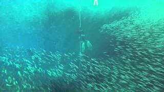 自由潜水训练视频解析：AIDA 2 Star Freediver Training (HD)