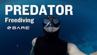 自由潜水装备视频解析：Predator Freediving Fins Mask Snorkel New from BARE Sports