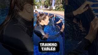 自由潜水训练视频解析：BEST FREEDIVING TRAINING FOR BEGINNERS