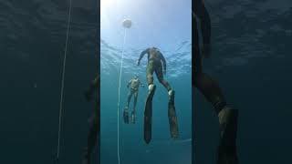 自由潜水训练视频解析：AIDA 3 Freedive courses with @Spearaus. Take your diving to the next level this summer!