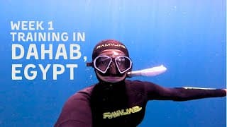 自由潜水训练视频解析：VLOG 1: Starting Our Freediving Journey in Dahab | Preparing for AIDA 4