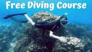 自由潜水训练视频解析：My Experience of PADI Freediver Course Level 1