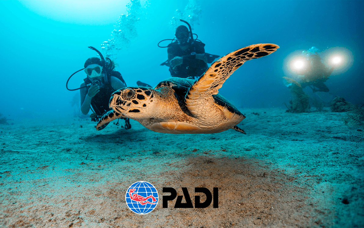 自由潜水拉伸视频解析：PADI 【OW】 水肺潜水员训练课程 【中文配音】Open Water Diver