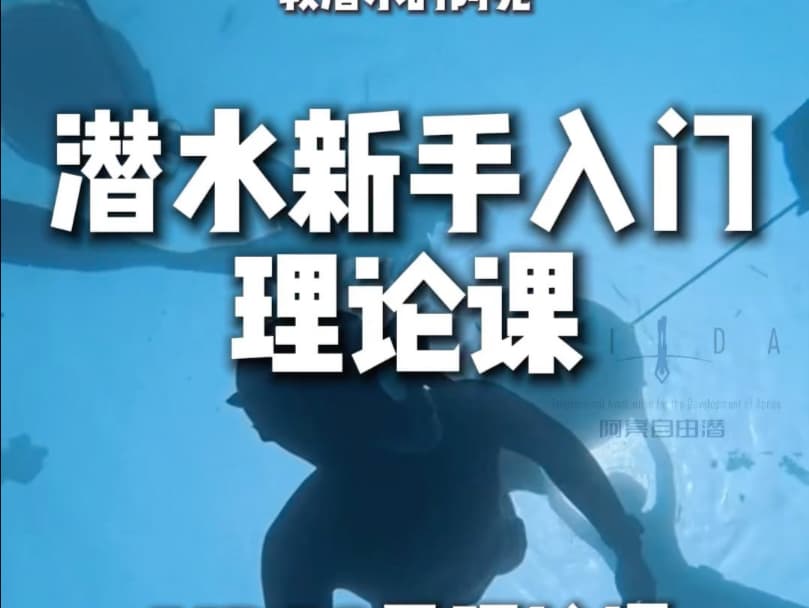 自由潜水训练视频解析：自由潜理论课预习视频 AIDA自由潜二星理论课 #自由潜水 给自己学员的自由潜入门理论课预习