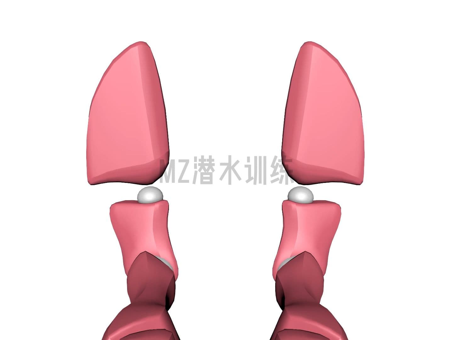 自由潜水装备视频解析：视频讲解蛙踢-芒果曲线