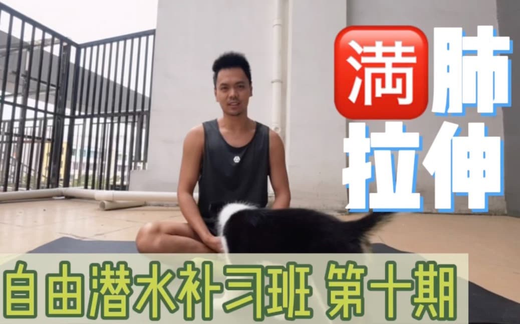 自由潜水拉伸视频解析：Super的自由潜水补习班 第十期｜自由潜满肺拉伸