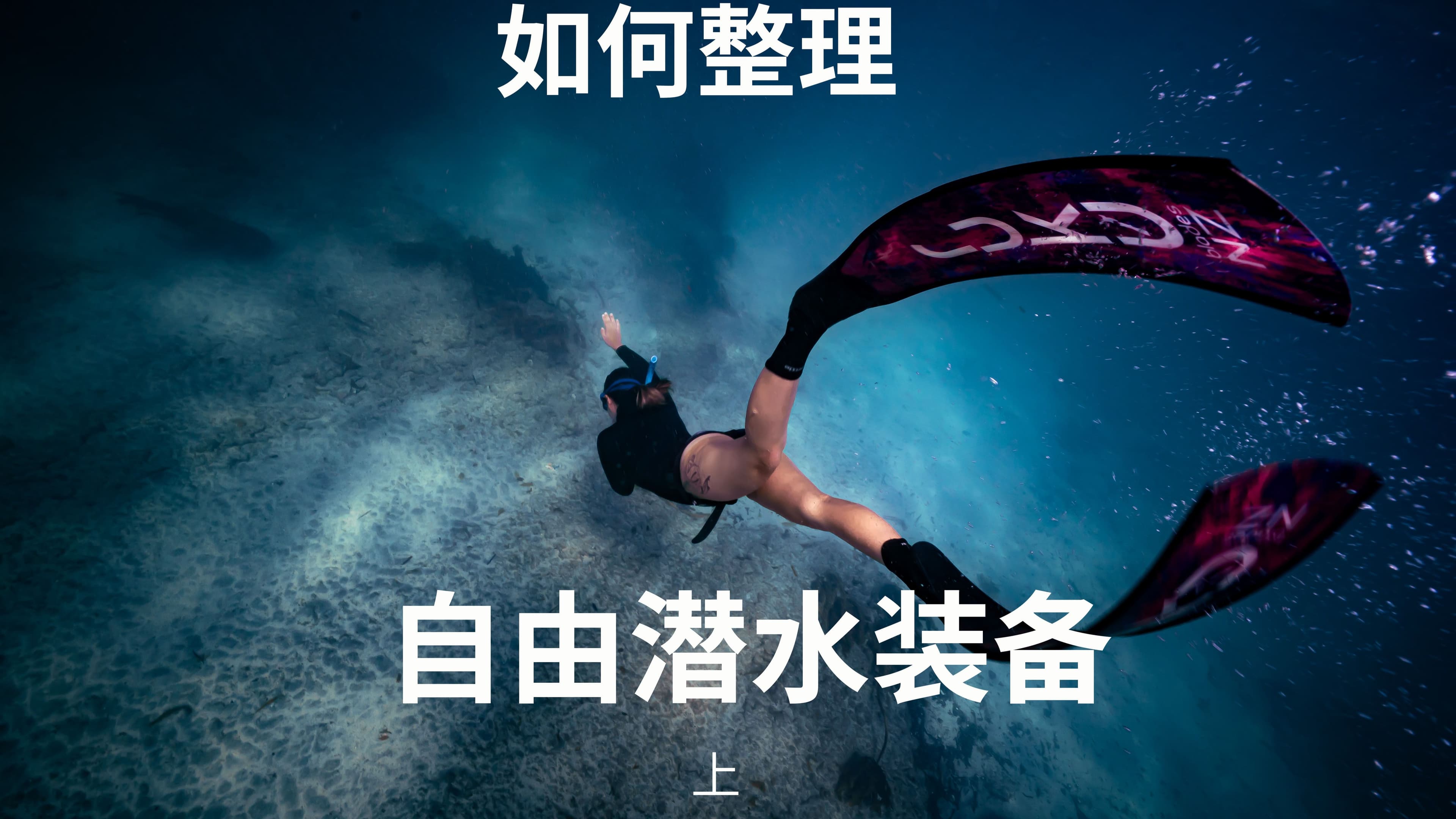 自由潜水装备视频解析：如何整理自由潜水装备 (上）