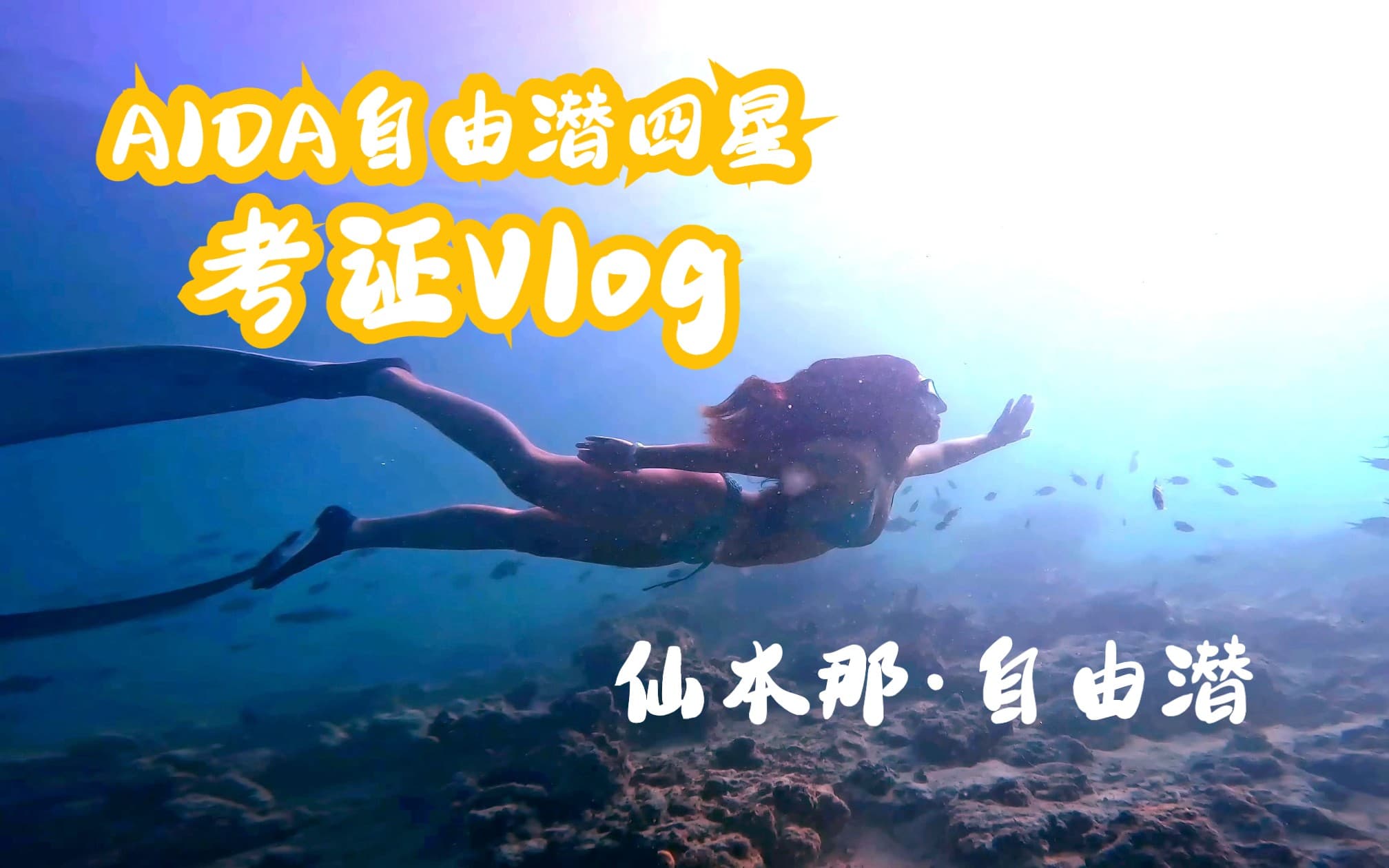 自由潜水训练视频解析：自由潜考证AIDA四星Vlog