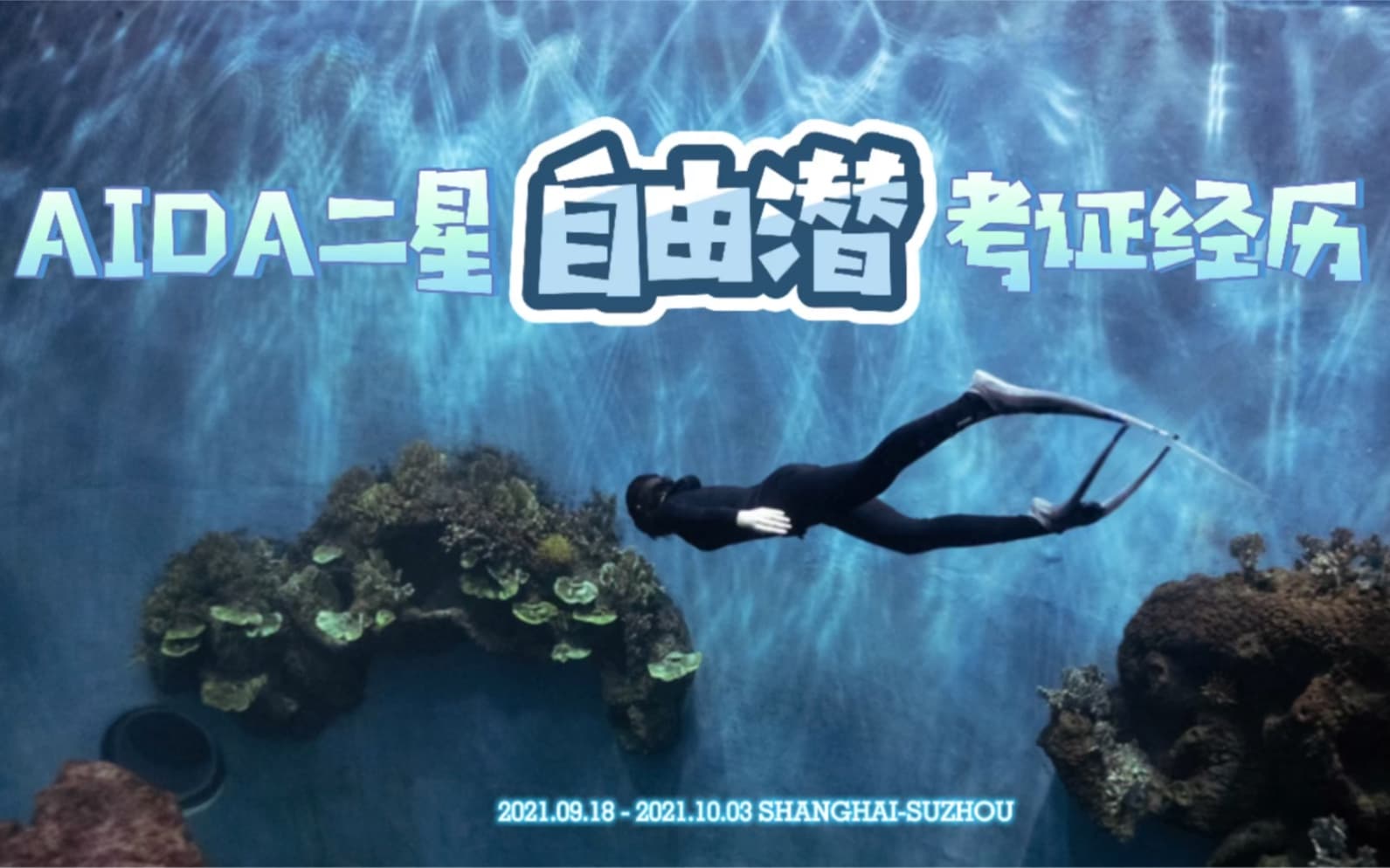 自由潜水训练视频解析：【自由潜VLOG】AIDA二星考证分享⭐⭐