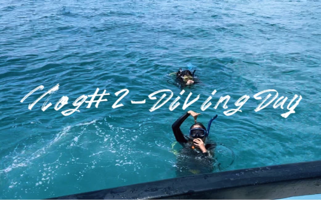 水肺潜水技巧视频解析：Vlog#02｜全英｜Diving Day 潜水日志｜PADI OW