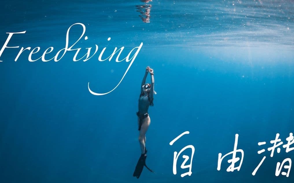 自由潜水训练视频解析：【入门必看】自由潜从零基础到助教 如果四分钟不能够呼吸