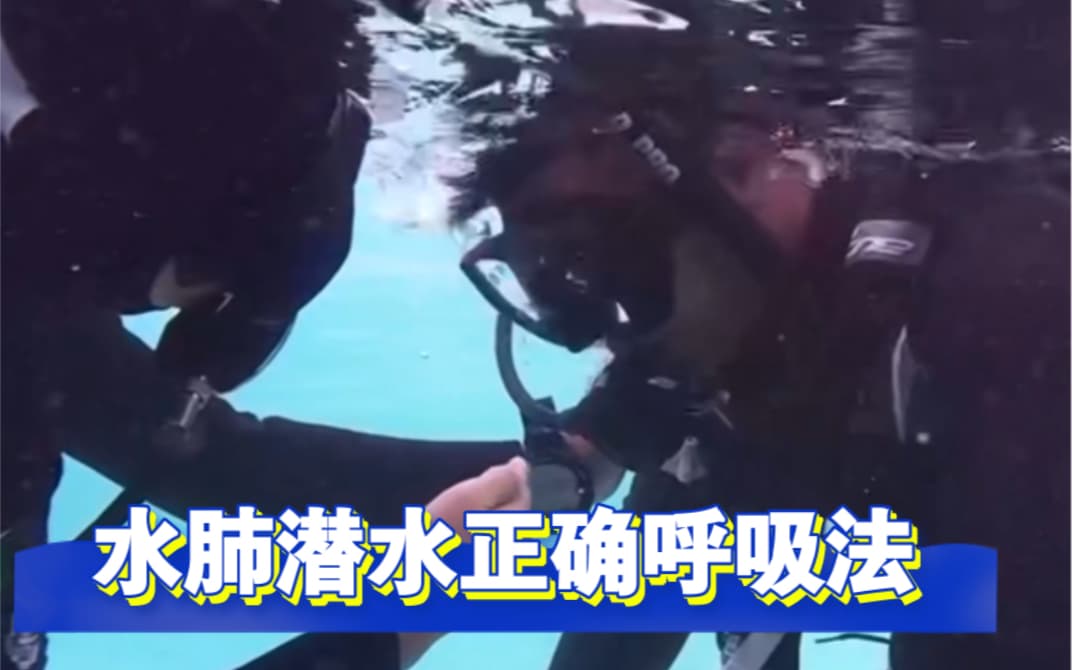 自由潜水训练视频解析：【学习潜水，从简单说起】正确的呼吸方式 。｜ PADI OW课程