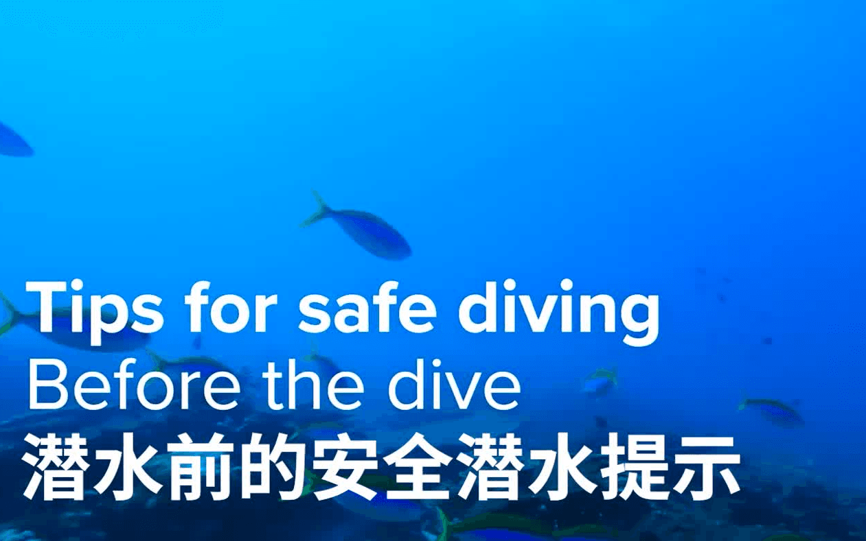 自由潜水安全视频解析：【Suunto潜水】你必须知道的潜水安全事项