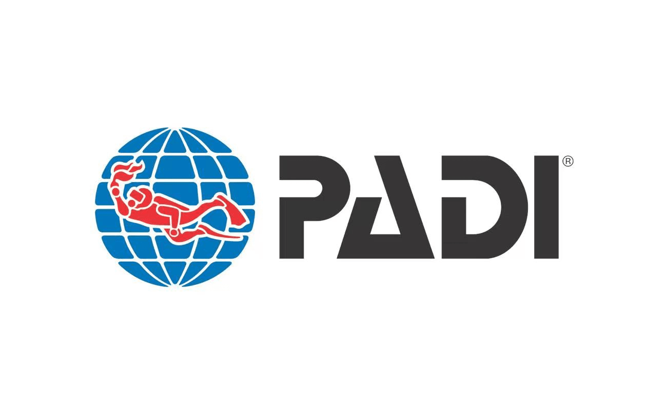 自由潜水训练视频解析：PADI OW 潜水课程