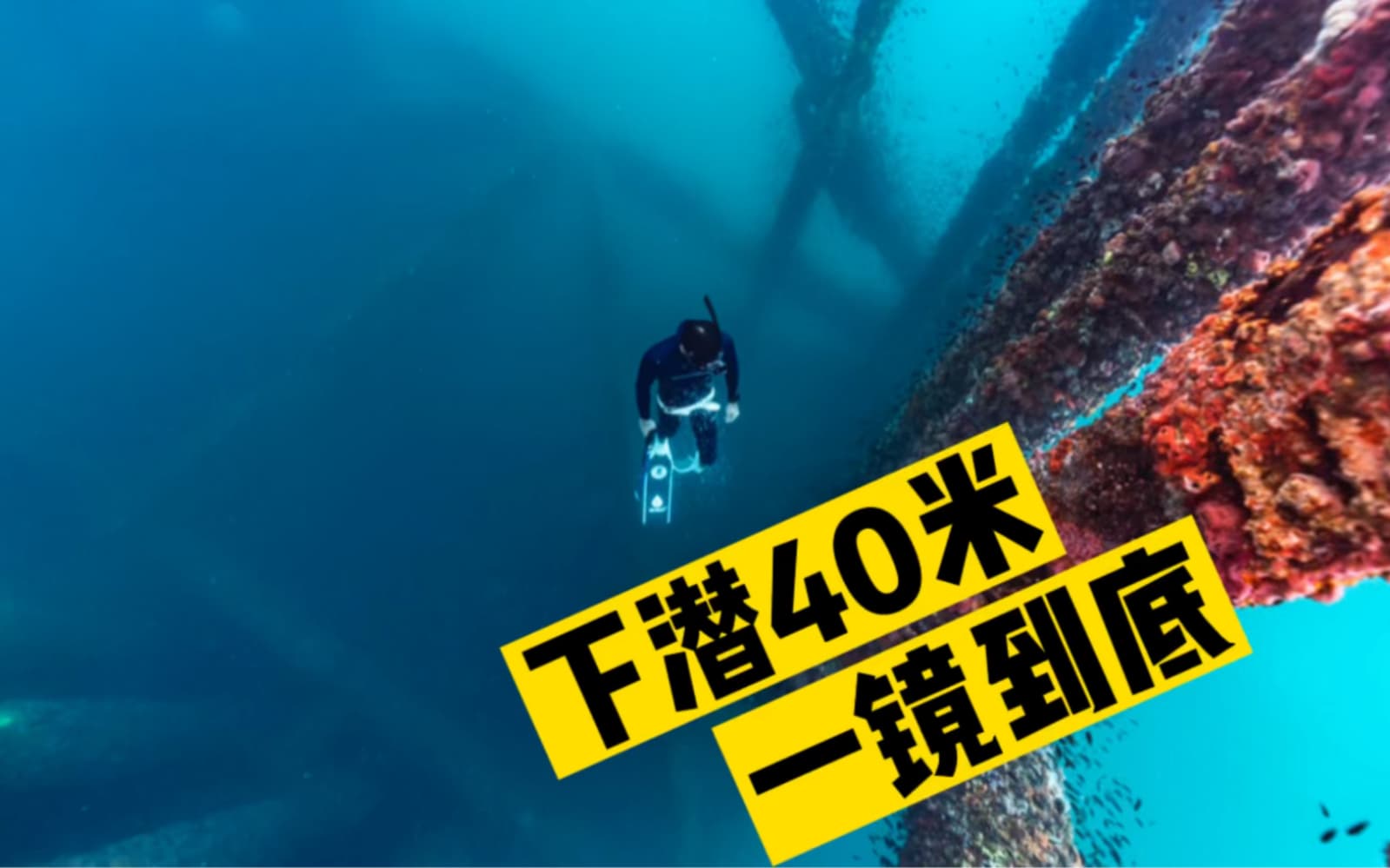 自由潜水训练视频解析：下潜40米需要做的事情（一镜到底）